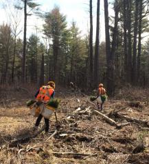 tree planters